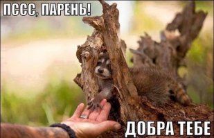 12 добрых поступков, которые покорили нас в 2015 году