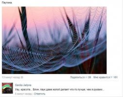 Смешные комментарии и высказывания из социальных сетей