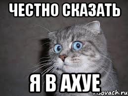 Пошел на фиг, я жираф!