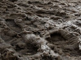 вот что сейчас в Москве есть... приезжайте, забирайте)))