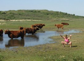 Питается солнцем.