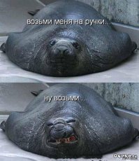 Фотоподборка за 02.12.2015