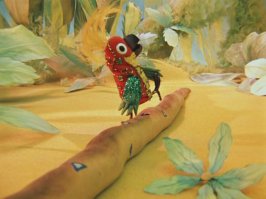 иногда жертва сама измеряет))