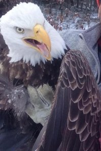 Да, именно так все и было, вот только мне кажется, что на руке у очкарика перчаточка специальная для птичек...