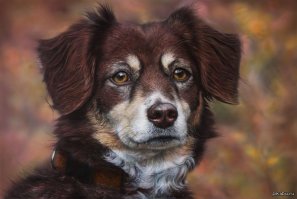 Рисунки, поражающие своей детализацией 