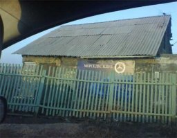 Реальность и здравый смысл решили не встречаться