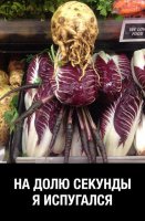 Ну почему же :) Вот этой не было на прошлой неделе.