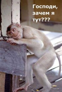 Небольшая подборка приколов и неудач