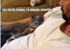 Эти супруги настолько толстые, что не могут заниматься любовью