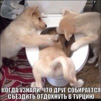 Смешные комментарии из социальных сетей 02.12.15