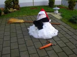 Немного грустно становится при мысли о том, что эта хрупкая красота - лишь до первого потепления