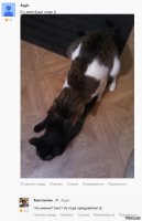 Смешные комментарии из социальных сетей 02.12.15
