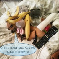 Когда пофигизм уже явно зашкаливает