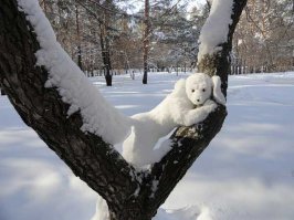 Зимняя акция: снеговик - в каждый двор!