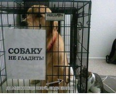 Когда пофигизм уже явно зашкаливает