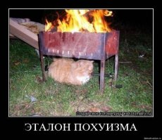 Когда пофигизм уже явно зашкаливает