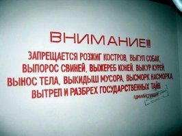 "Будешь гадить - пристрелю" или когда точка кипения пройдена