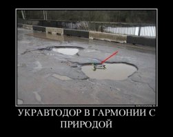 В гармонии с природой