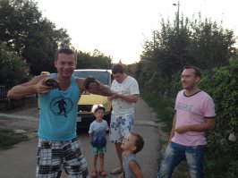 вобще их было 2, и они занимались сексом посреди дороги)) немножко прервали их романтик но потом конечно оставили их наедине, предварительно убрав с дороги)