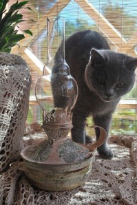 Так эта... Я что-то не понял - это скрытая реклама нового комбезика или шляпки? 
Написано красиво, но по жизни не тянет даже на классического кота с лампой.