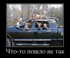 Очередная подборка автоприколов