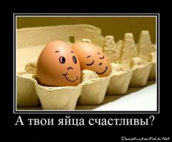 Веселые яйца: как обычный завтрак может превратиться в героя фотосессии