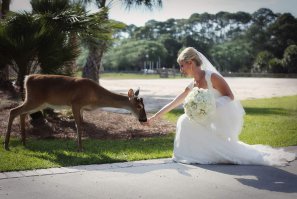 А потом как всегда: У меня муж - олень..