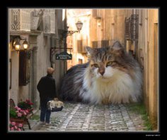 человек, "прогиб" засчитан...