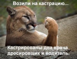 Увсё семейство