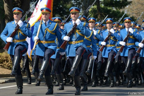 Vsio na fotografii ponyatno i krasivo no tolko odno bespokoit menya . Po4emu Putin i Perdogan vstretilis v Serbii? Vot eti soldati na foto, oni Serbsakaya gvardiya .Pruf