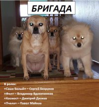 Фотоподборка за 04.12.2015