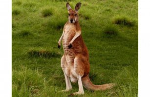 Он заценил красотку!