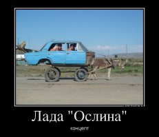 Очередная подборка автоприколов