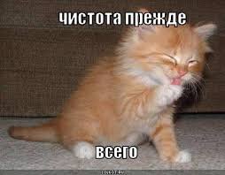 Полезные советы: Как быстро сделать уборку без особого напряжения