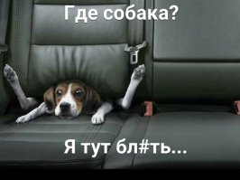 Попал под лесовоз 