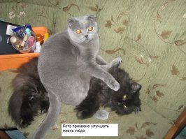 Обои на рабочий стол