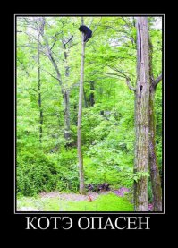 Стреляй, Пятачок!