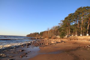 ну и что, вот фото 28 декабря. и ничего депрессивного