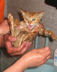 Учебка в Армейке.