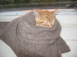 Внимание! Кто беспокоится за жизнь и психическое состояние кота (Кстати его зовут Бася) то всё нормально... Через пол часа после мойки он выглядел вот так. Скоро ему должно стукнуть 8 лет (см второе фото). Так что товарищи защитники животных не беспокойтесь, от данной ванно-прачечной процедуры пострадали только "двуногие" )))