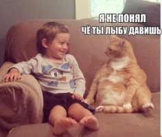 Брошенный кот, ставший лучшим другом для маленького мальчика в новой семье