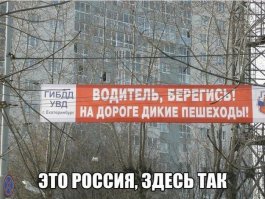 Вся правда о водителях и пешеходах! 