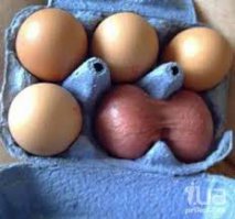 16 фотографий, демонстрирующих, какова тёмная сторона жизни