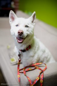 Вот она сейчас
