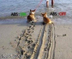 Это скорость высокая, люди на зиму не перестроились, гонят все.