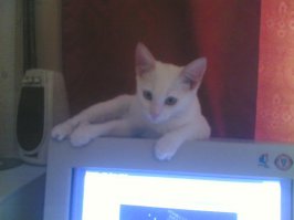 Моя в 2008 году