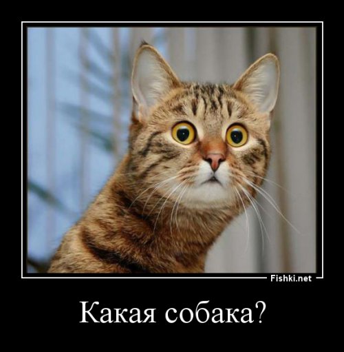 Попал под лесовоз 