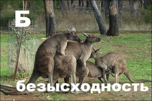 Смешные комментарии из социальных сетей 04.12.15