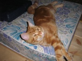 Мой матрасик