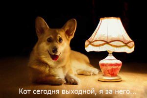  Питерская коммуналка, бывают и плюсы